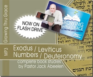 Picture of MP3 Exodus - Deuteronomy